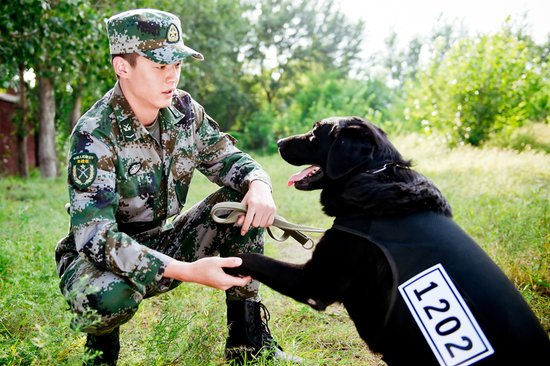 《神犬奇兵》北京热拍 花絮预告片精彩曝光