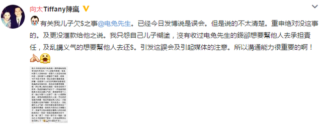 向佐向债主还钱 向太坚称儿子是替人背黑锅_