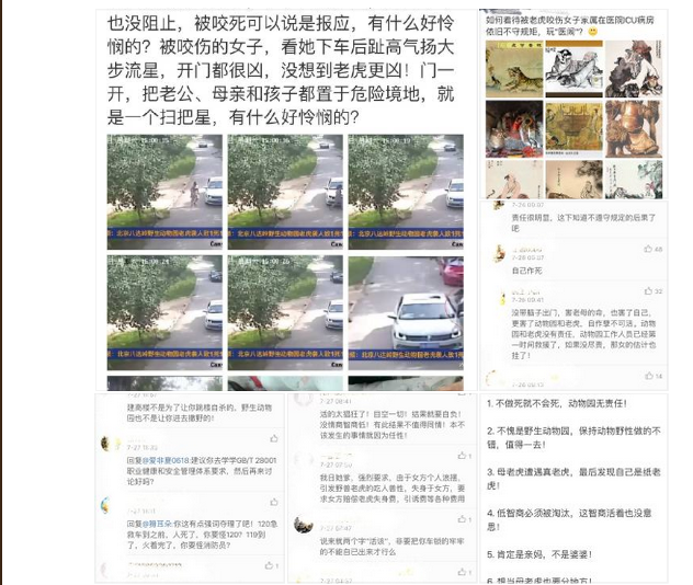 叶一云发声“老虎吃人”事件 莫让人心猛于虎