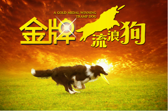 《金牌流浪狗》贺岁档上映 狗明星身价过亿
