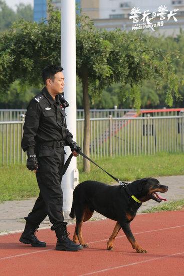 《警花与警犬》催泪开播 无言战友警犬独领荧屏