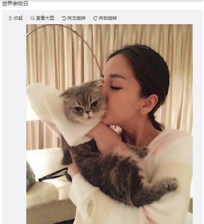 Baby亲吻爱猫 网友:放开猫,晓明会吃醋