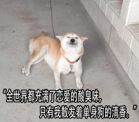 520单身狗反击战 拆散一对是一对劲歌TOP10