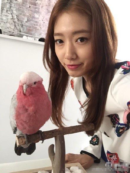 朴信惠与粉色鹦鹉合照 素颜仍娇俏可人(图)