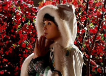 美人无泪