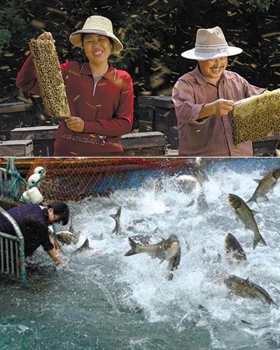 《舌尖2》開啟刷屏模式 人情比美食更有嚼頭