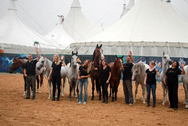 《梦幻舞马》迎内地首秀 明星马抵沪身价金贵_娱乐_腾讯网