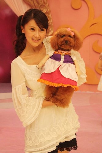 甘薇带名犬录“大美人” 何炅李晨讨教宠物之道