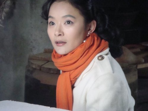 张晶晶即将挑战时装剧 剧中与秦海璐成情敌(图