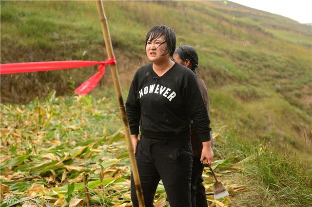 贾玲相声受邀推新样 《小苹果》王太利还不知