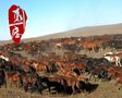 《刺客》激战场景挥重金 展楚王与魏王巅峰对决