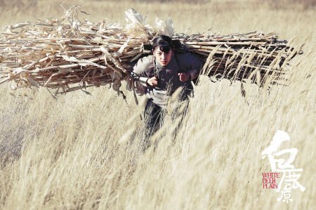 国内大片倾向娱乐至死《白鹿原》恰恰相反