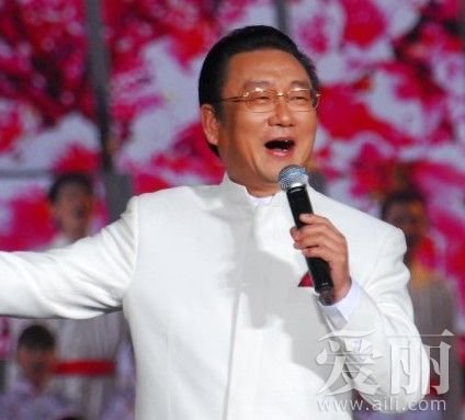 杨澜否认持美国绿卡 曝明星移民海外隐情(组图