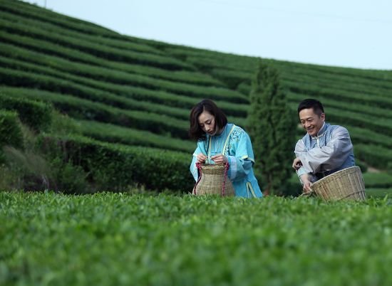 《下辈子》福建播出 陈德容唱采茶歌走红