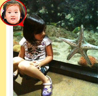 贾静雯不服争女案判决质疑法官 大小s帮腔力挺【图】