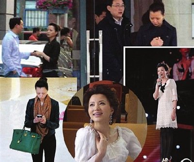 爆料人否认董卿将嫁富豪男友 结婚又成乌龙