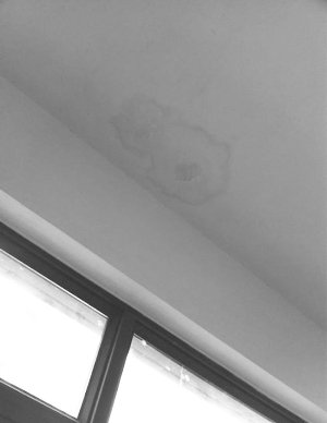 徐锦江投诉北京住宅房顶漏水 任志强支招(图)