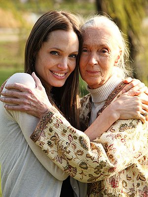 janegoodall)很快将与她的明星好友——安吉丽娜·朱莉(angelinajolie