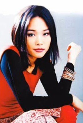巫启贤曝许美静借王菲怀孕销声匿迹之时上位