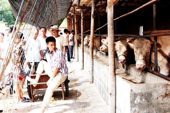 《老家》主角情路坎坷 观众高呼“在一起”