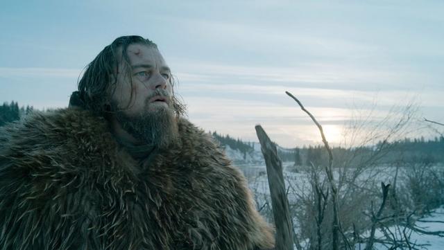 THR评年度十佳影片 《还魂者》《卡萝尔》在列