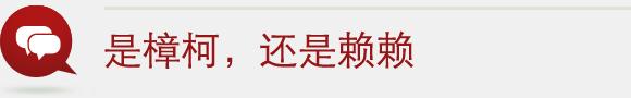 贾樟柯：骂我变了的人，是不了解这社会的运作