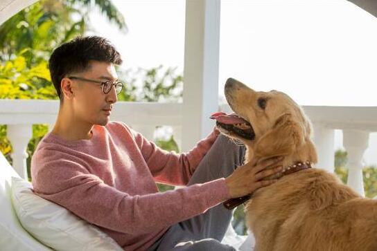 “不看脸”曝剧照 张鲁一吴倩演绎犀利治愈爱情