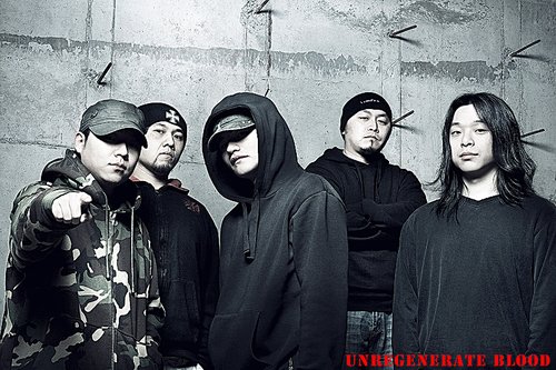 张北草原音乐节2010演出乐队变更通告 _娱乐_腾讯网