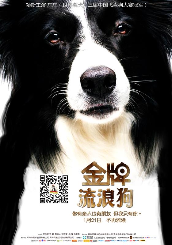 《金牌流浪狗》口碑获赞 狗狗主角萌翻观众