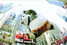 中美将合拍《功夫熊猫3》 欲在上海建主题乐园