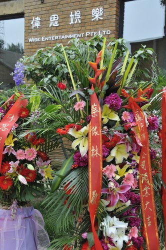 李偲菘李伟菘“伟思娱乐”落户北京 众星齐贺