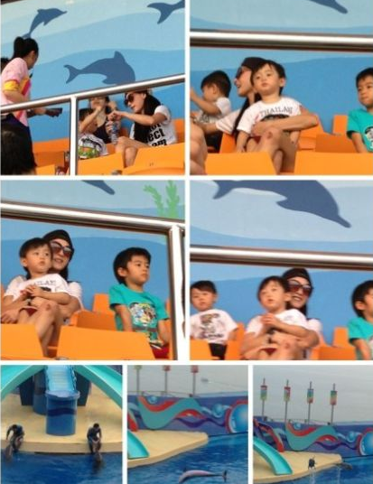 张柏芝带两爱子畅游海洋公园 身形消瘦大方任拍