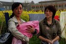 《三个未婚妈妈》将映 金鸡影后奉献最震撼表演