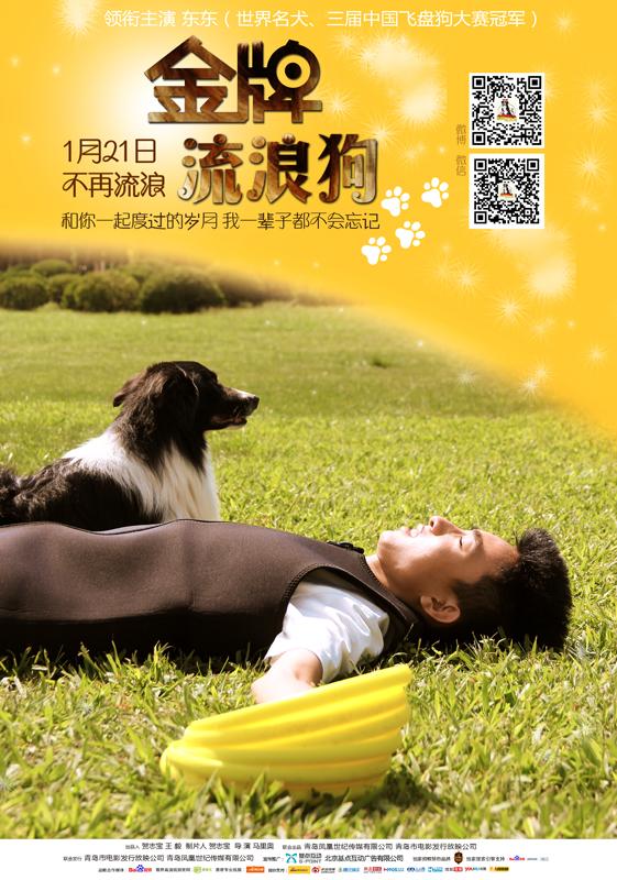 《金牌流浪狗》：区别于简单感动的宠物电影