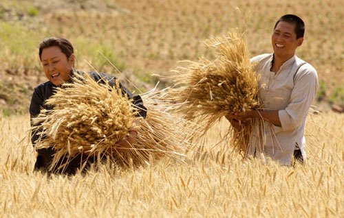 《娘》卫视催泪 斯琴高娃、于晓光胸中有大爱