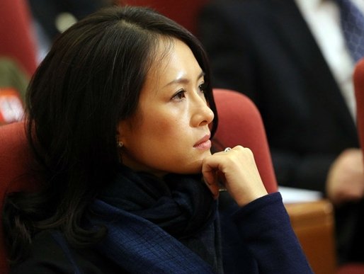 章子怡李冰冰以代表身份参加致公党代会(图)