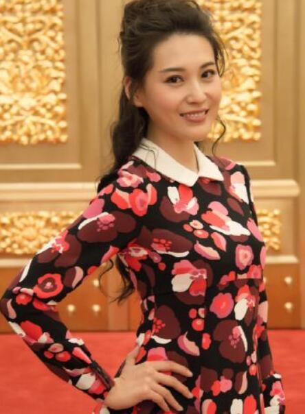 《红星照耀中国》首播发布会 丹琳美艳亮相