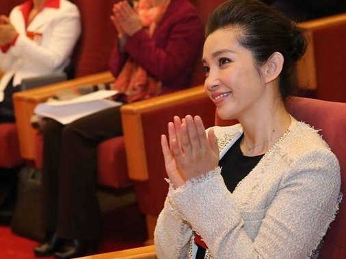 章子怡李冰冰以代表身份参加致公党代会(图)