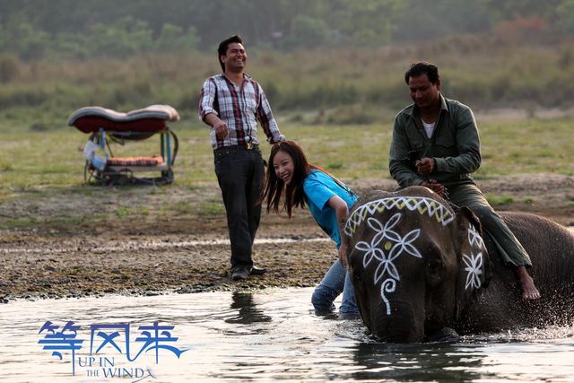 《等风来》票房口碑双丰收 倪妮清新演绎获赞