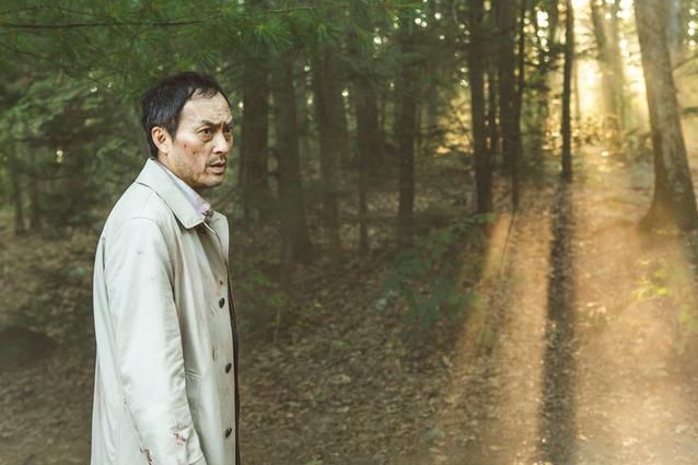 《青木原树海》明年5月日本上映 揭秘自杀胜地