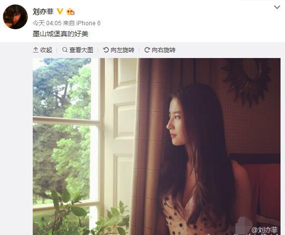 刘亦菲晒绝美侧颜 低胸装上围丰满