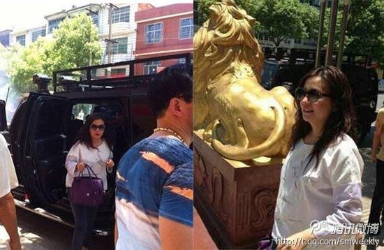 赵薇身形发福被曝怀二胎 本人暂无回应(图) 