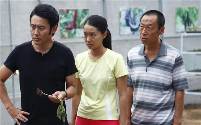 《马向阳下乡记》