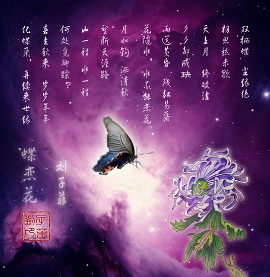 刘子菲《蝶恋花》