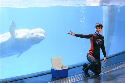 “神奇六毛”苦练水性 迎来海洋馆最华丽表演