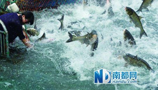 《舌尖上的中国2》播出仍待定 纪录片热销海外