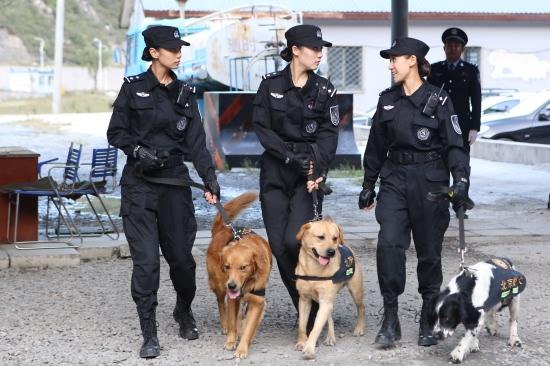 《警花与警犬》上演"人犬情未了" 成催泪瓦斯