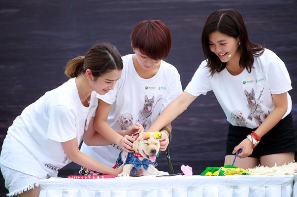 《神犬奇兵》腾讯首映礼 萌犬十八般武艺大比