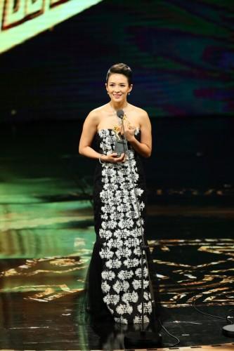 香港电影评论学会奖揭晓 章子怡再度封后