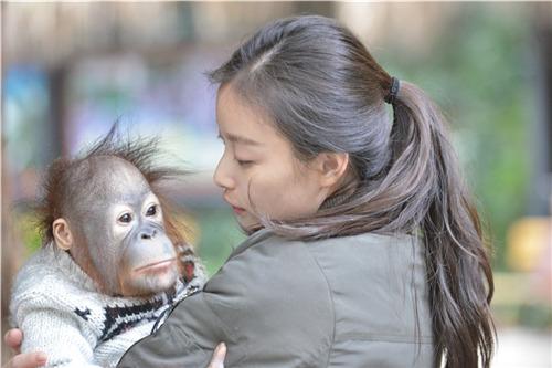 娱乐 娱乐热点 正文【奇妙的朋友】倪妮屡次被猩猩咬大喊救命 奇葩